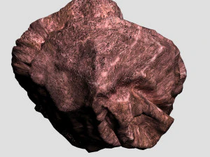 Roche 06 Modèle 3D