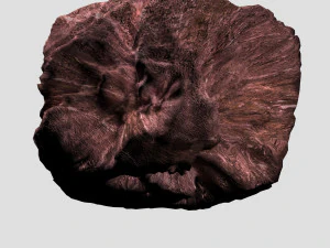 Roche 06 Modèle 3D