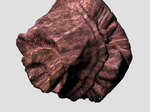 Roche 06 Modèle 3D