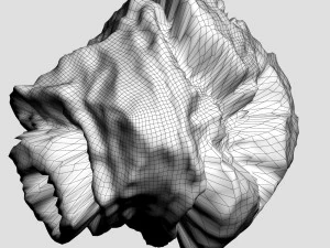Roche 06 Modèle 3D