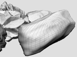 Rock 3 type boulder 3Dモデル