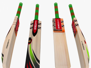 Cricket bat gray nicolls Modelo 3D