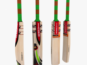 Cricket bat gray nicolls Modelo 3D