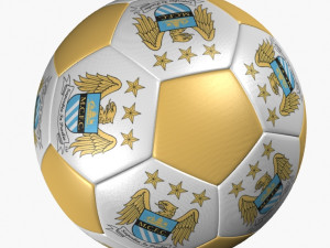 soccer ball manchester city 3D Model