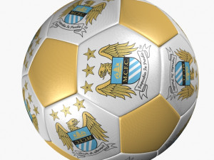 soccer ball manchester city 3D Model