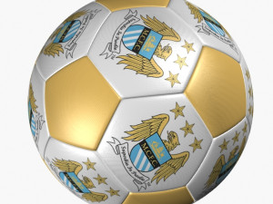 soccer ball manchester city 3D Model