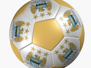 soccer ball manchester city 3D Model