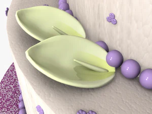 ウエディングケーキ 3Dモデル