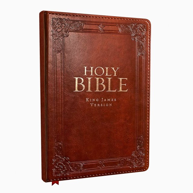 bible 3D 模型 .c4d .max .obj .3ds .fbx .stl .blend 
