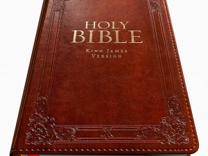 bible 3D Model