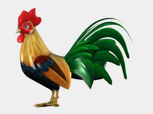 gallo Modello 3D