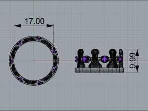 ring crown Modelo 3D