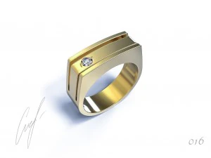Ring 3D Druckmodell