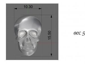 skull 3D Принт Модель