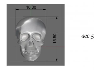 skull 3D Print Model