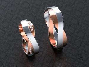 wedding rings 3D Print Model
