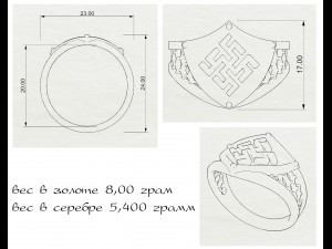 silver charm ring Modello 3D