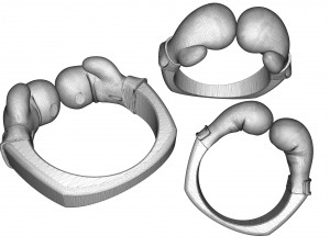 boxer ring Modelo de Impressão 3D