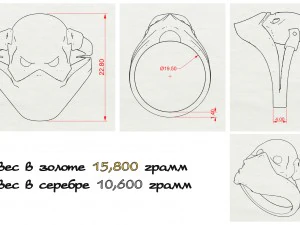 ring with a skull 3D Print Model