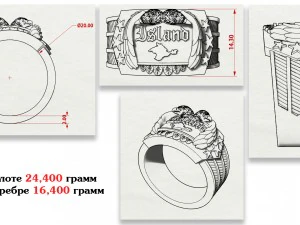 ring with the eagles 3D Print Model