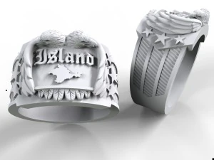 ring with the eagles 3D Print Model
