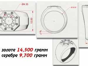 mens ring with stones 3D Print Model