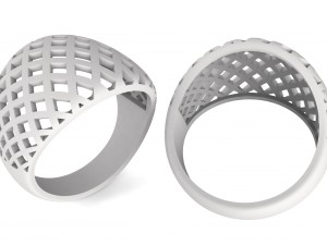 ring in the form of a grid Model Cetak 3D