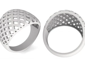 ring in the form of a grid 3D Print Model
