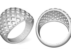 ring in the form of a grid 3D Print Model