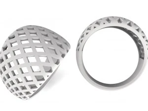 ring in the form of a grid 3D Print Model