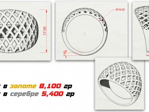 ring in the form of a grid 3D Print Model