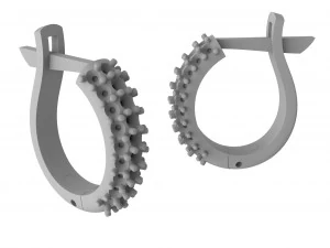 gold earrings with diamonds 3D Print Model