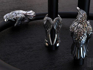 inserto aquila su pelle o gomma Modello di stampa 3D