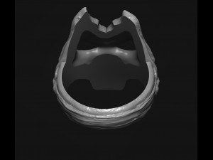 silver ring dark siders Model Cetak 3D