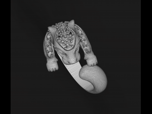 ring cheetah with diamonds Model Cetak 3D