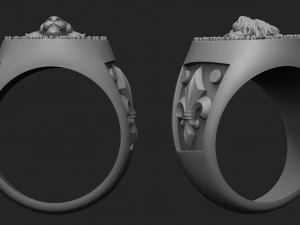male ring lion with patterns 3D Print Model