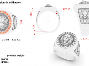 male ring lion with patterns Modello di stampa 3D