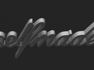 self made 3D 打印模型