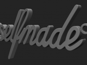 self made 3D 打印模型