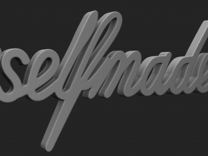 self made 3D 打印模型