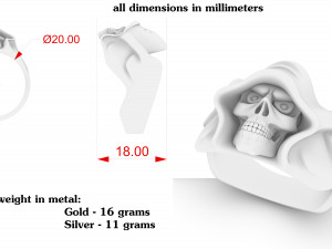 hooded skull ring 3Dプリントモデル