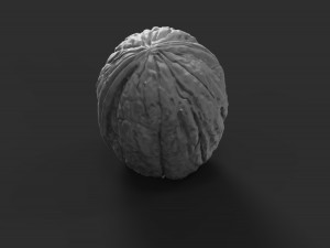walnut Modelo de impresión 3D