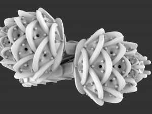 ring with fir cones 3D Print Model