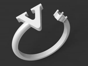 ring v 3D Print Model