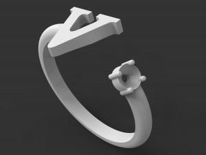 ring v 3D Baskı Modeli
