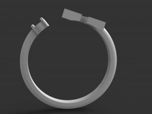 ring v 3D Print Model