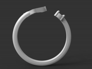 ring v 3D Baskı Modeli