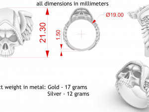 skull ring with wings for 3d printing 3D Print Model