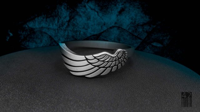 ring wing 3D प्रिंट मॉडल .c4d .max .obj .3ds .fbx .stl .blend 