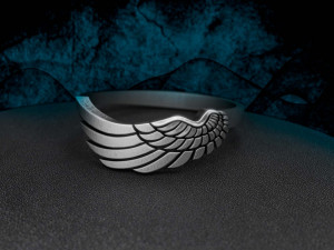 ring wing 3D Print Model